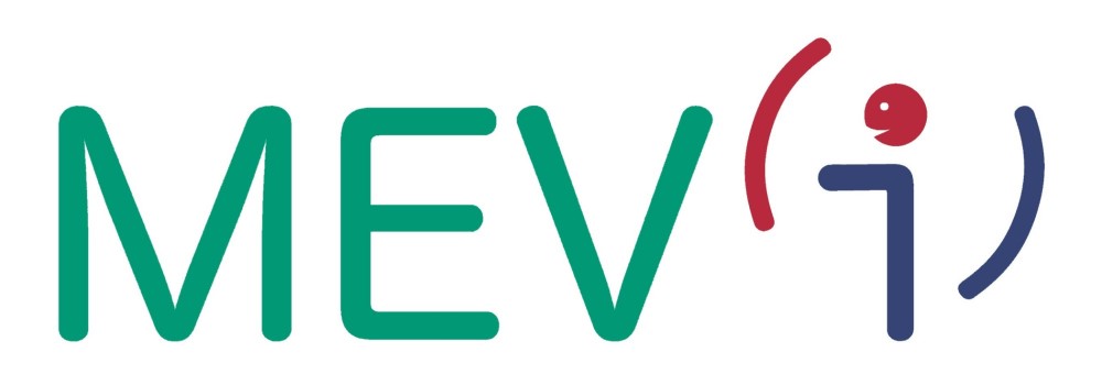 MEV(i) - Mortalità Evitabile (con intelligenza)